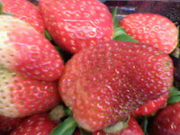 Imagem de Sua Casa Ok