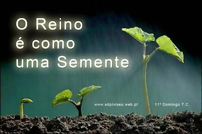11º Domingo do Tempo Comum