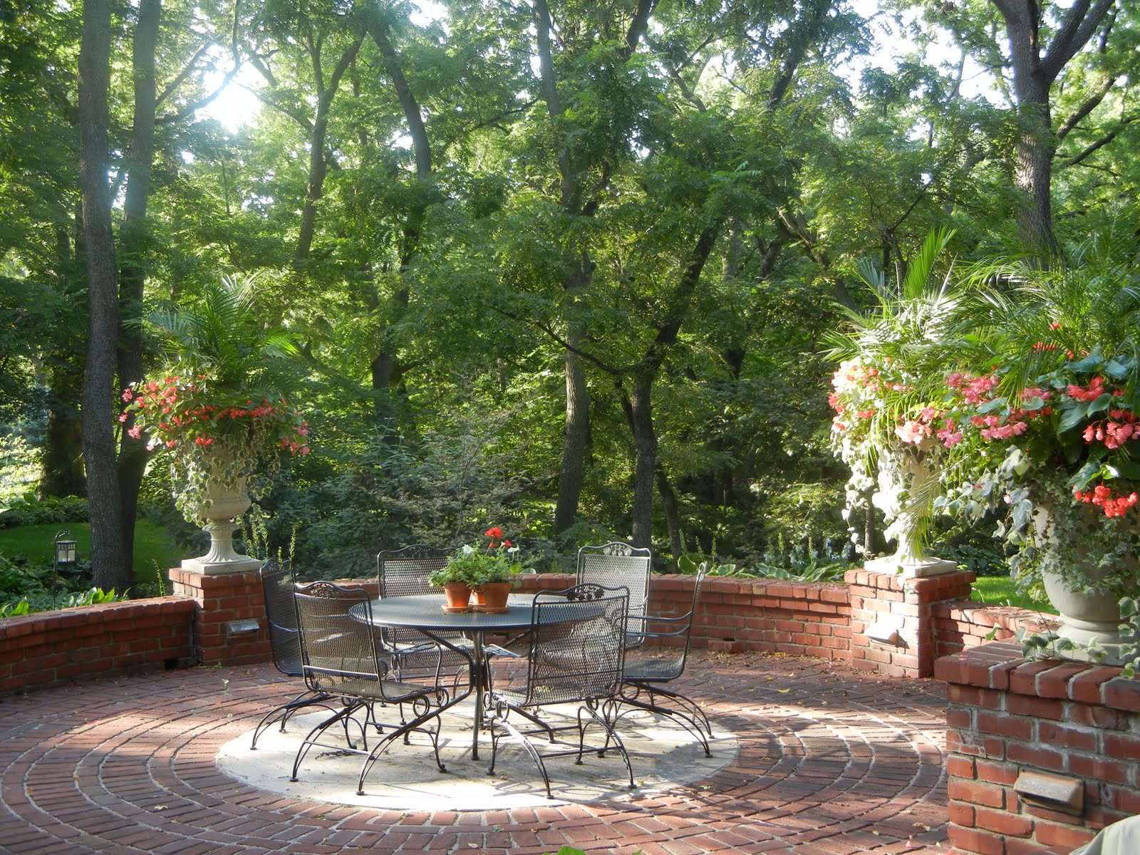 The French Tangerine kelly's garden