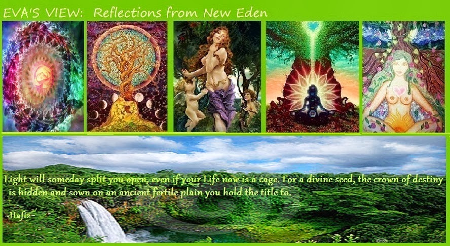 Eva's View: Reflections From New Eden ✿