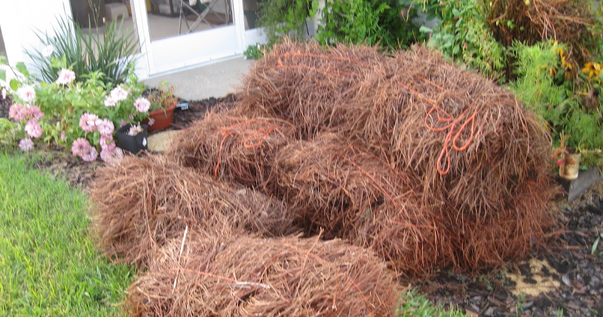 Maple Hill 101: Got Mulch?