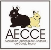 Asociación