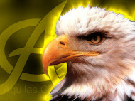 AGUILAS DEL AMERICA EL EQUIPO DE MIS AMORES