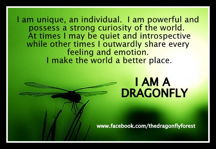 1000+ images about dragonfly on Pinterest