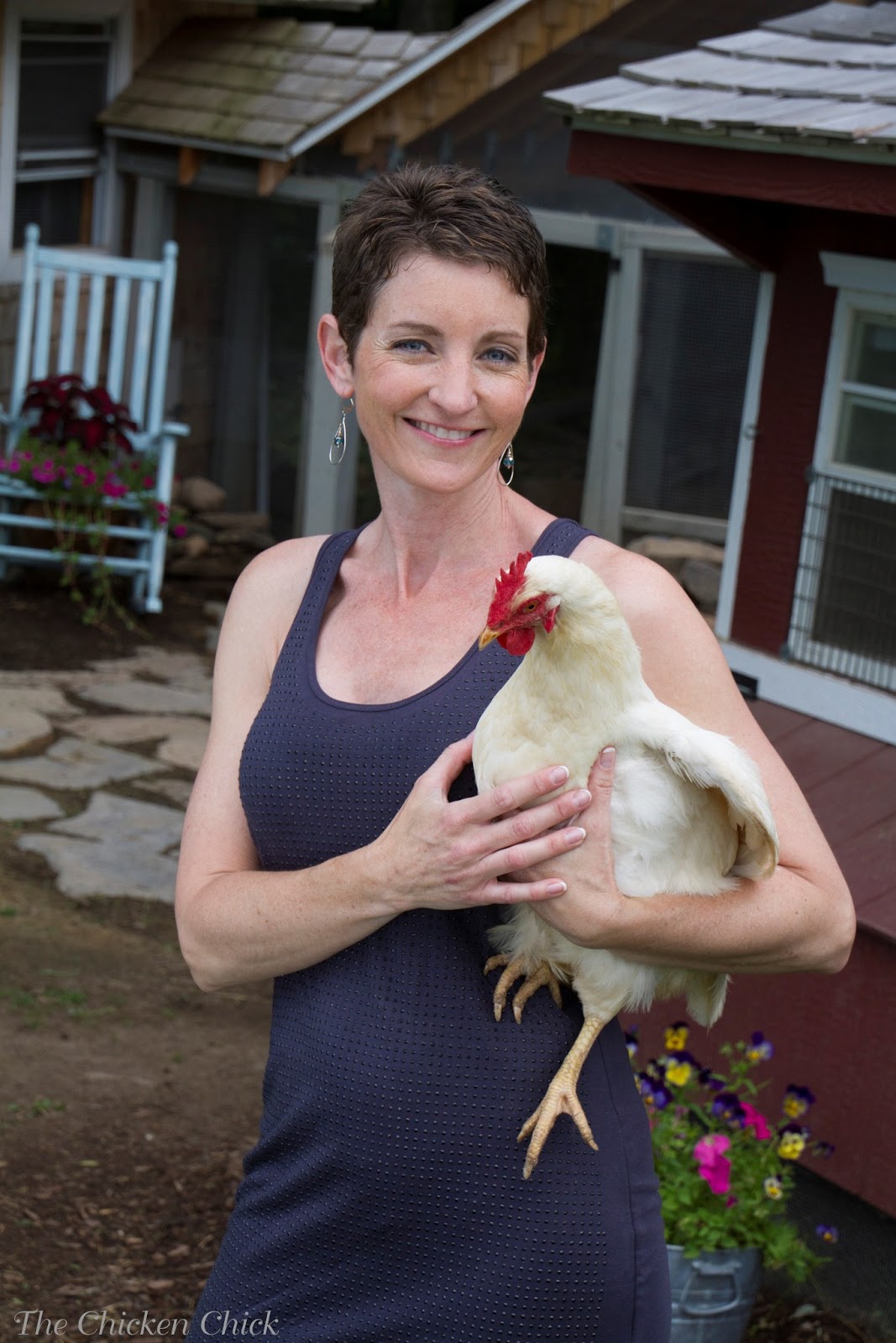 clever chicks blog hop clever chicks blog hop