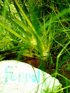 Fennel (painted coconuts for markers)