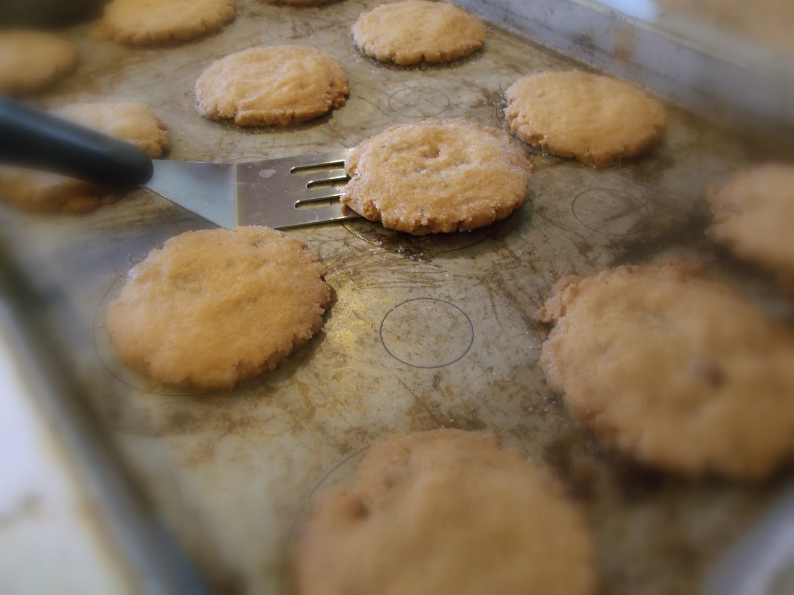 The Peppered Pantry Toffee Chip Shortbread Cookies