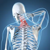 Los ejercicios de estiramiento y fortalecimiento han sido consideradas como un componente clave para mantener el cuello fuerte y saludable.