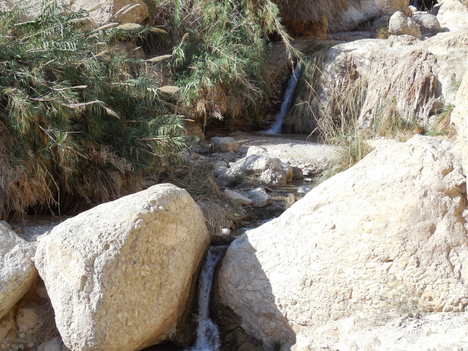 Der Untergang Der Pamir 2006 Stream Deutsch Kostenlos Ganzer Film