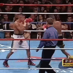 tumblr_mx68zl6VZh1rnxl9do3_250.gif
