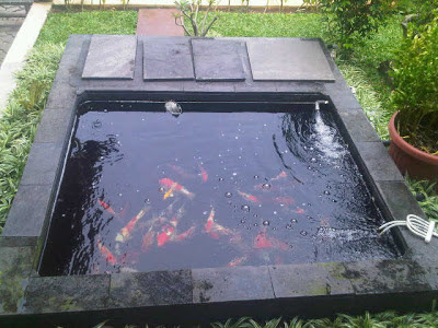 Menghadirkan Kolam Mungil Di Rumah Minimalis