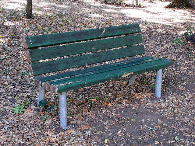 Bench, Bosco dei Cappuccini, Livorno