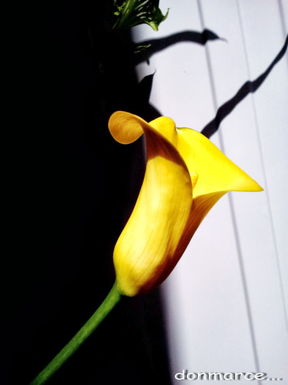 my flower...