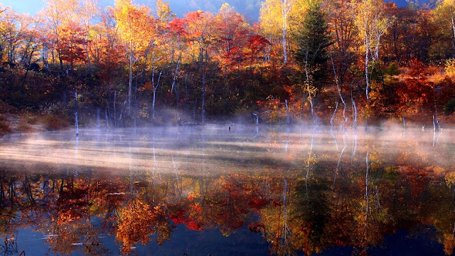 Autumn Mist7