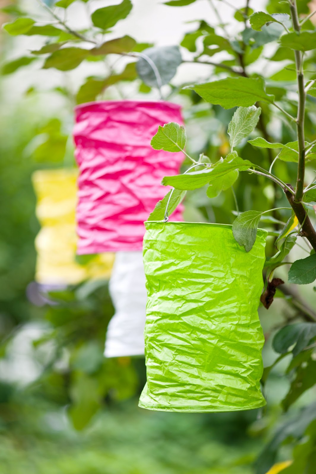 Garden Living Studio June 2013