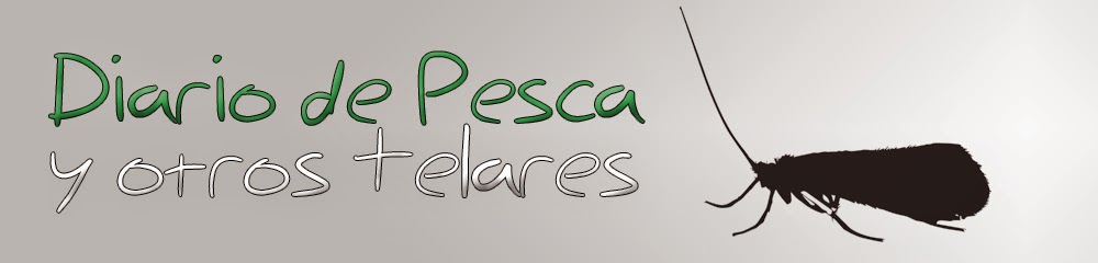 Diario de pesca y otros telares