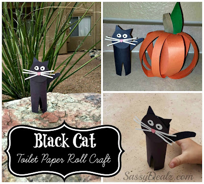 cat toilet paper roll craft