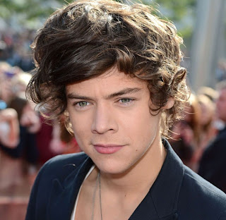 Harry Styles face expressions 2013
