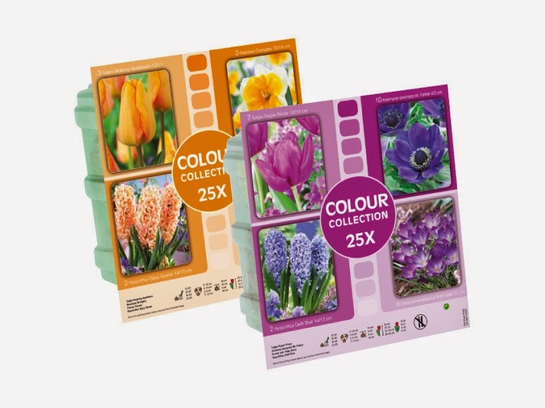 Colour Collection Flowering Bulbs in Lidl Opinions Products