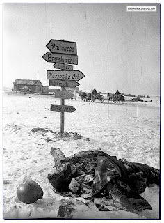 Germans at Stalingrad: Rare Pictures
