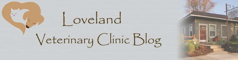 Loveland Veterinary Clinic