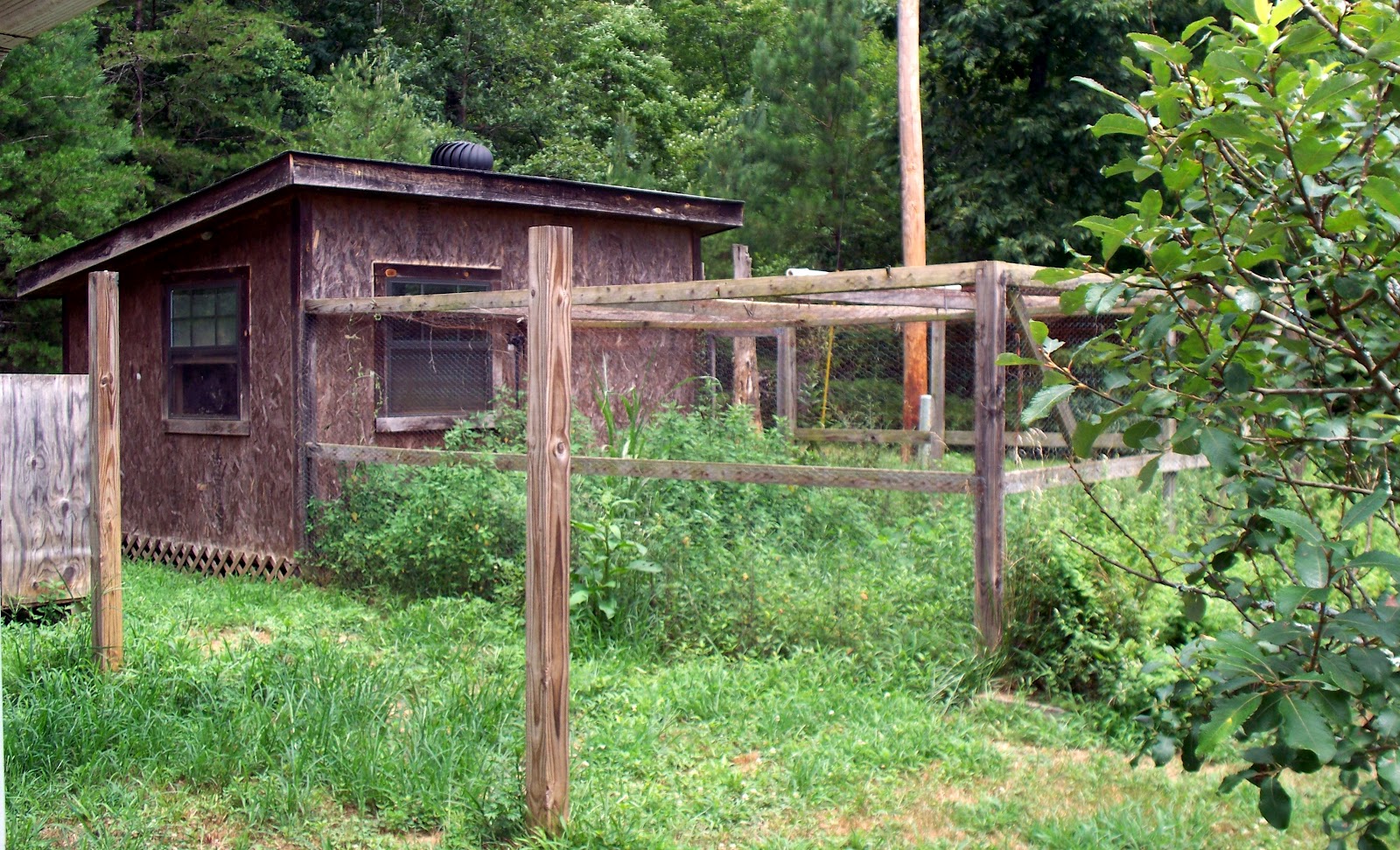 Blue Ridge Country Girl Shabby Chicken Coop to Chic Potting Shed