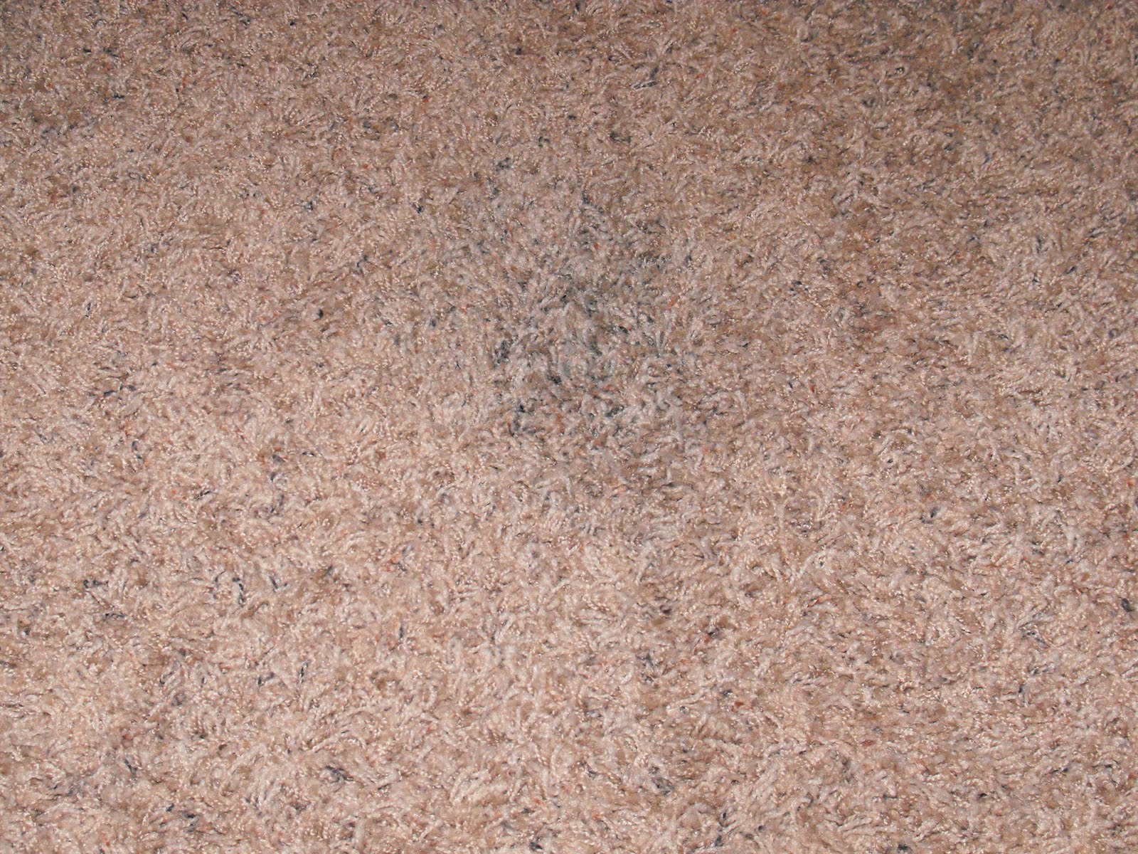 The Martin Family How to get INK out of Carpet