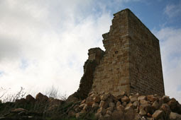 TORRE RUERRERO