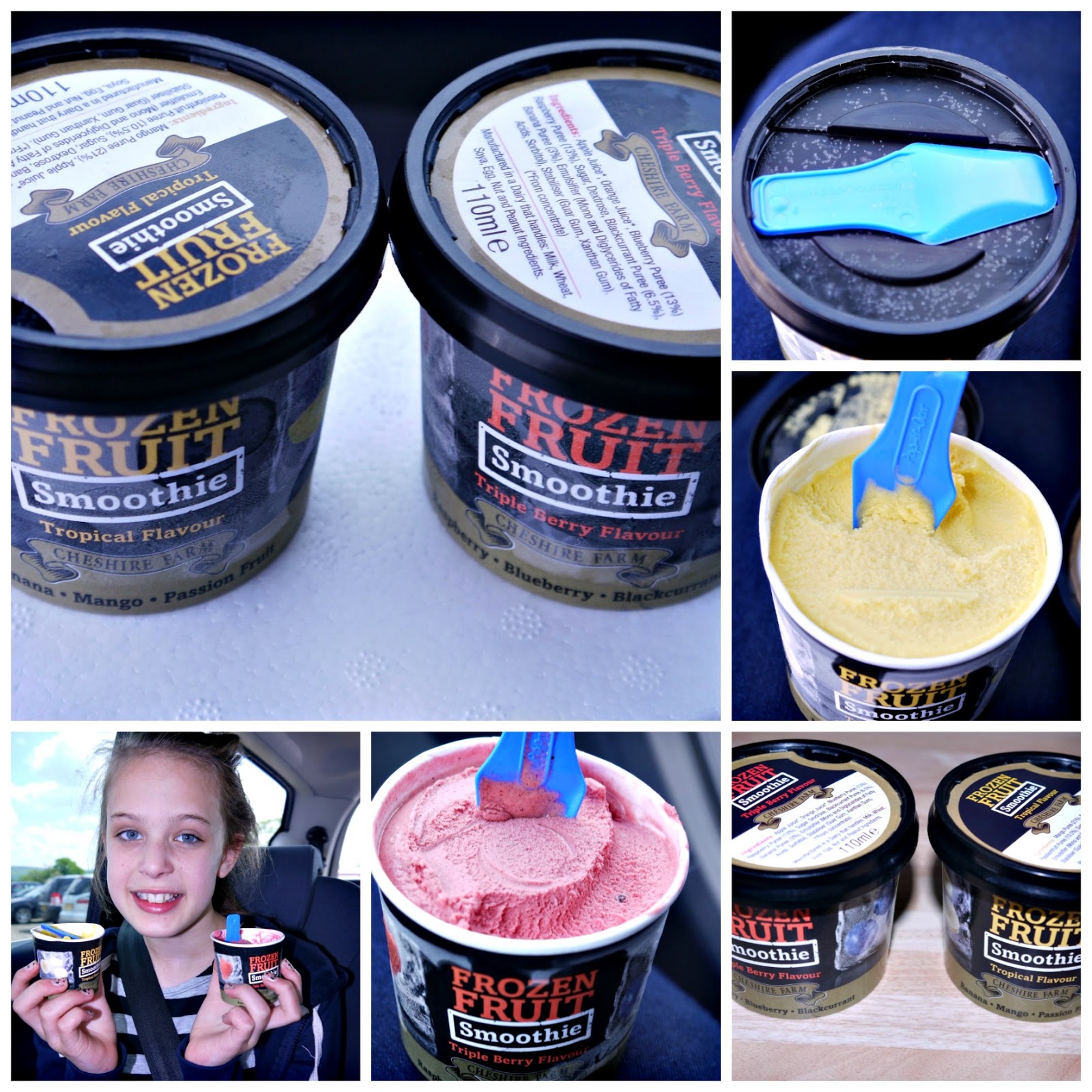 Inside the Wendy House Making Artisan Ice Cream at The Ice Cream Farm