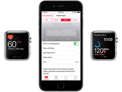 Apple Watch: the inconsistent frequency of heart rate measurements is a feature, not a bug