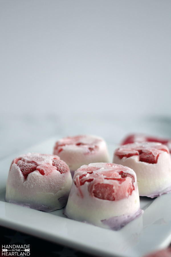 Berries & Cream Frozen Yogurt Bites with #AEDairy