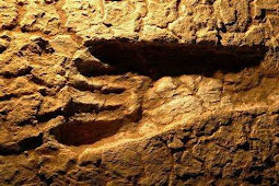 okezone.com : First Human Footprints in America Discovered