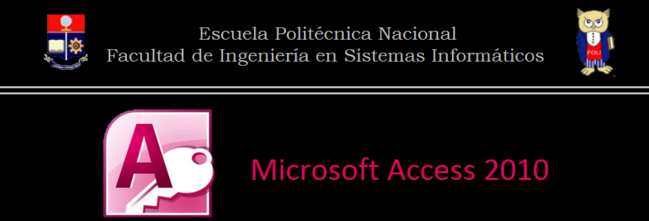 Microsoft-Access 2010