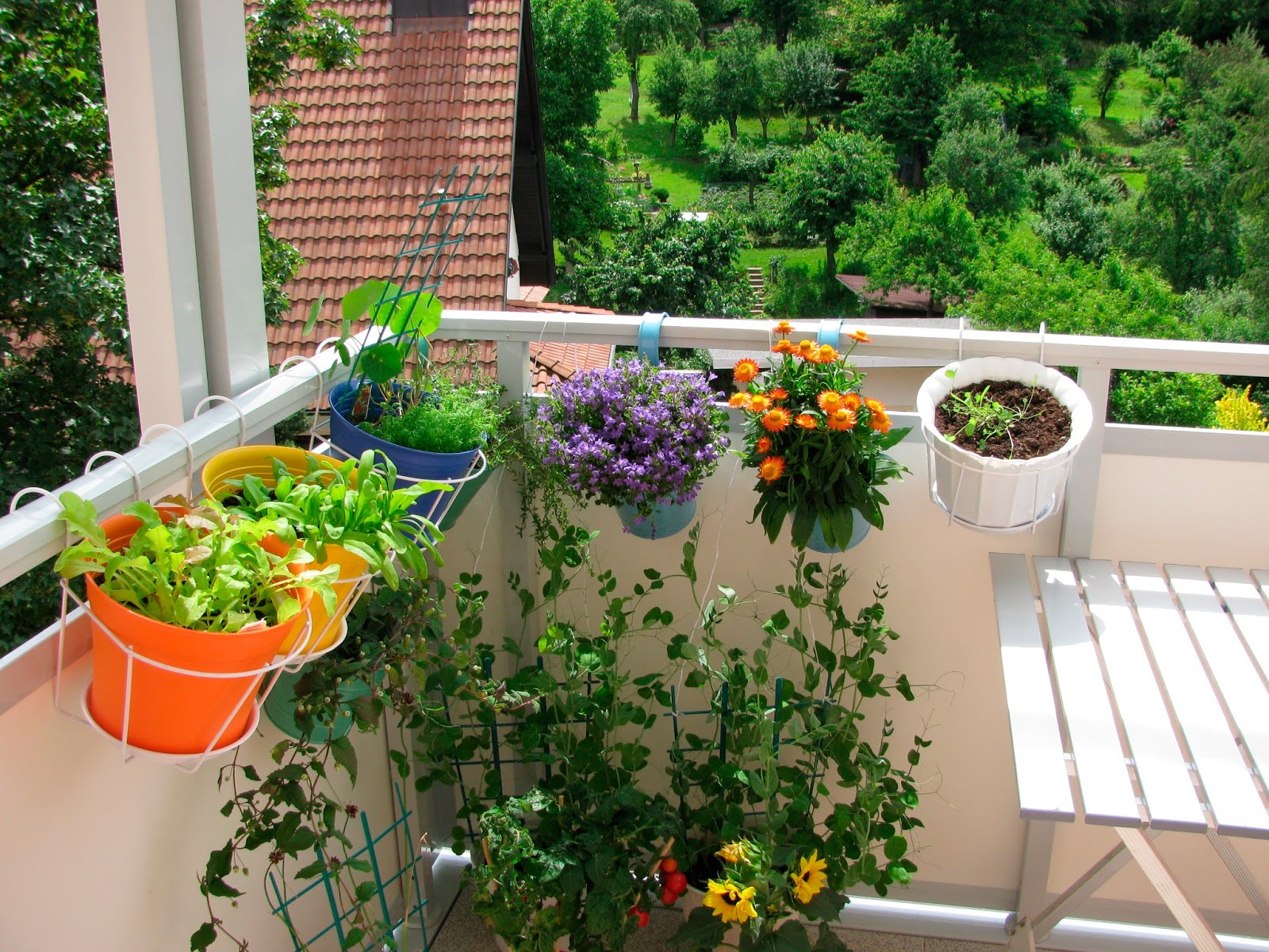 Not for boring: Decorando jardines y terrazas!