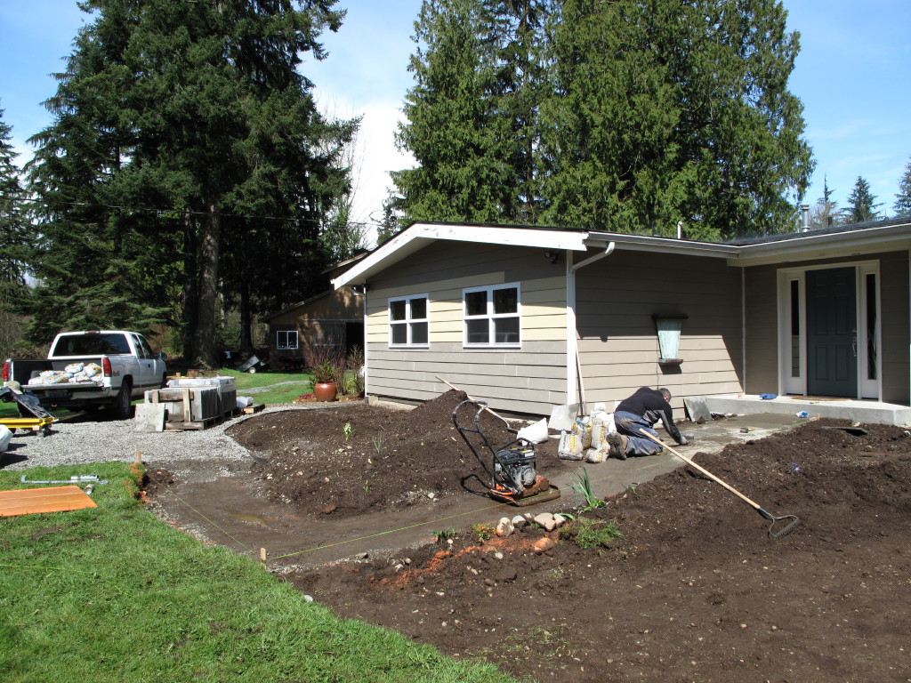 My Favorite Plant In The Garden This Week Berberis X Stenophila