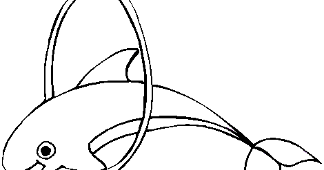 Coloring Pages Fun: Dolphin Coloring Pages