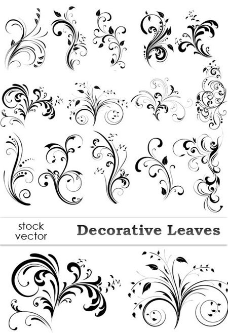 Vector Based Graphics