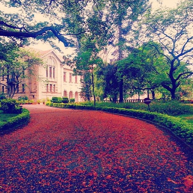 Indian Institute of Science UG