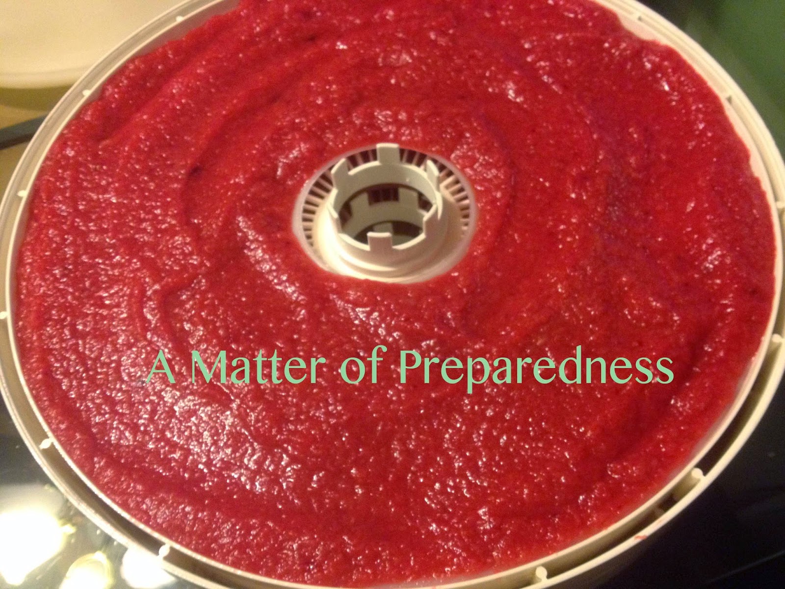 Outdoor Kitchen for Canning Making Fruit Leather