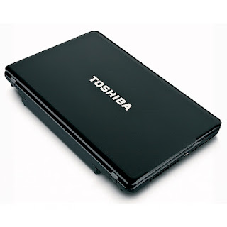 Toshiba Satellite A665-S5184 Specs