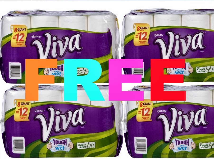 Viva translations essay 07 image