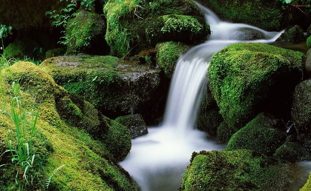 DOWN-CR: Natureza, imagem da natureza