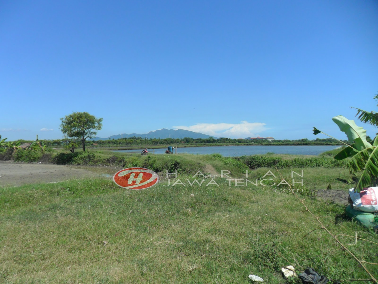 Menggagas Pantai Congot Selempung Menjadi Wisata Alam