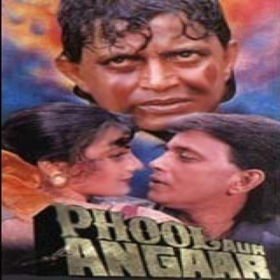 Phool Aur Angaar 1993 Hindi Movie DvDRip XviD
