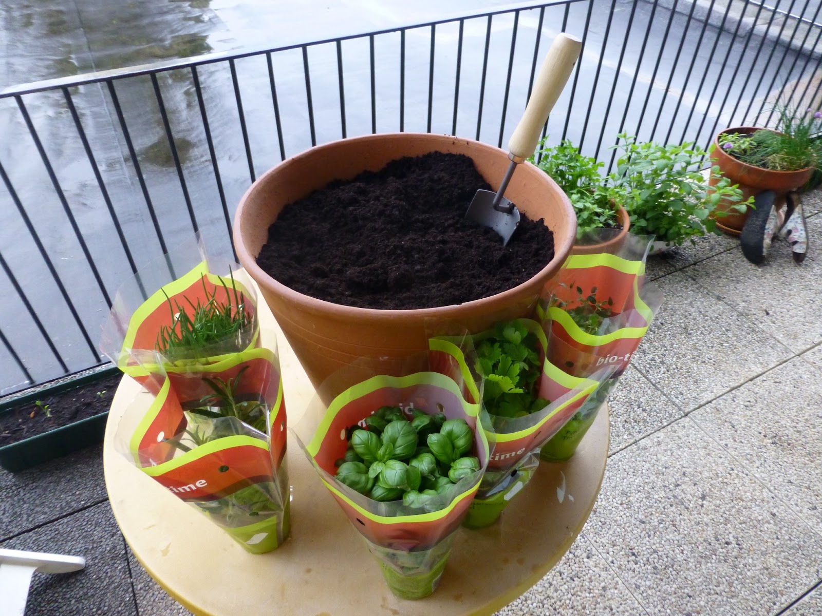 Champs des Alouettes: And a 'salad' birthday gift for my mother