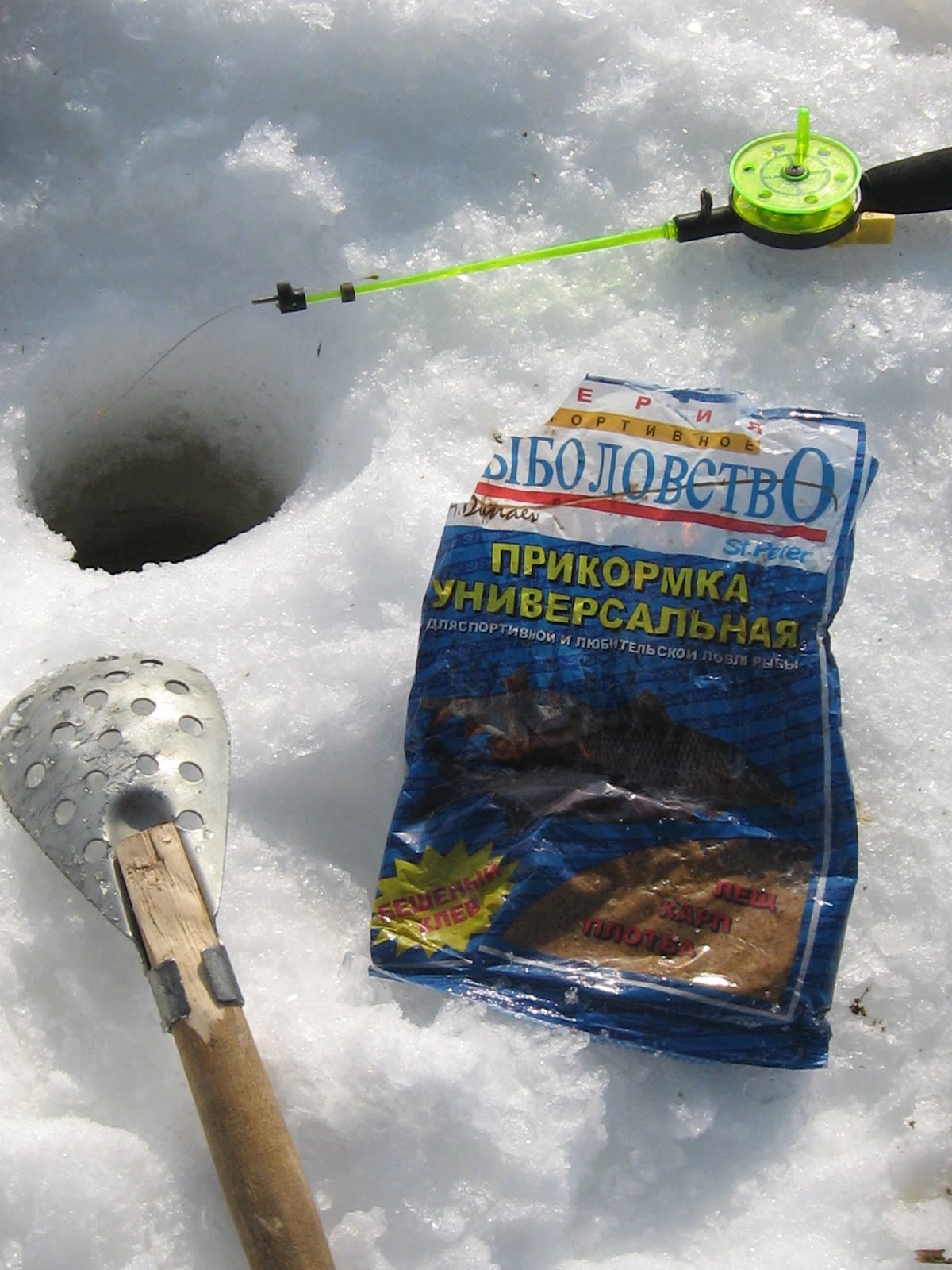 Фото Рыбы Зима