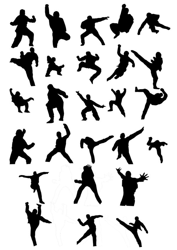 Kung Fu Pics