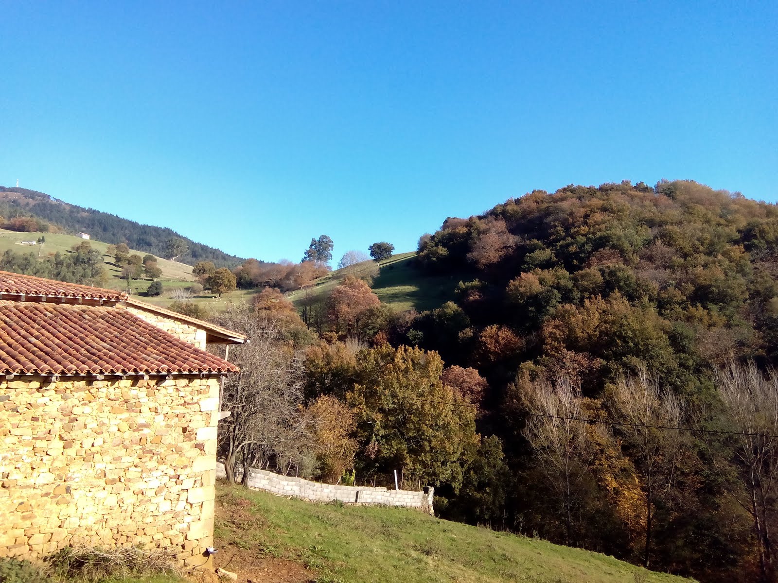 Cabañas de Cantabria