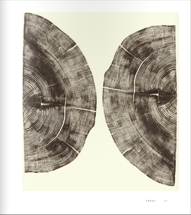 the good stuff WOODCUTS