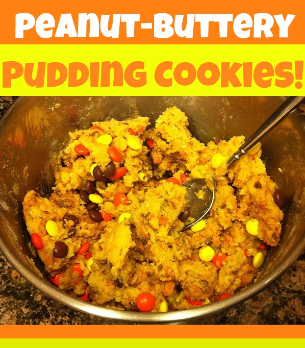 LOLlen! Recipe PeanutButtery Pudding Cookies!